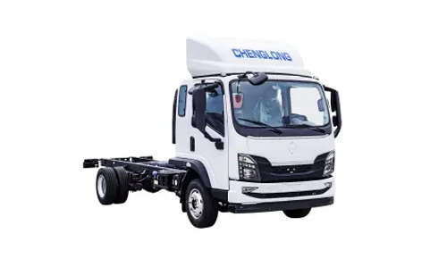 6T LCV Cargo