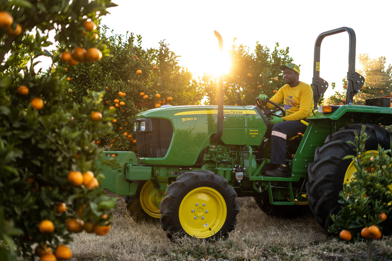 A farmer driving a green John Deere 5050D tractor through a citrus orchard at sunset.