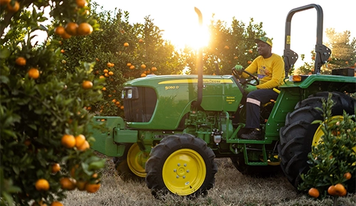 A farmer driving a green John Deere 5050D tractor through a citrus orchard at sunset.