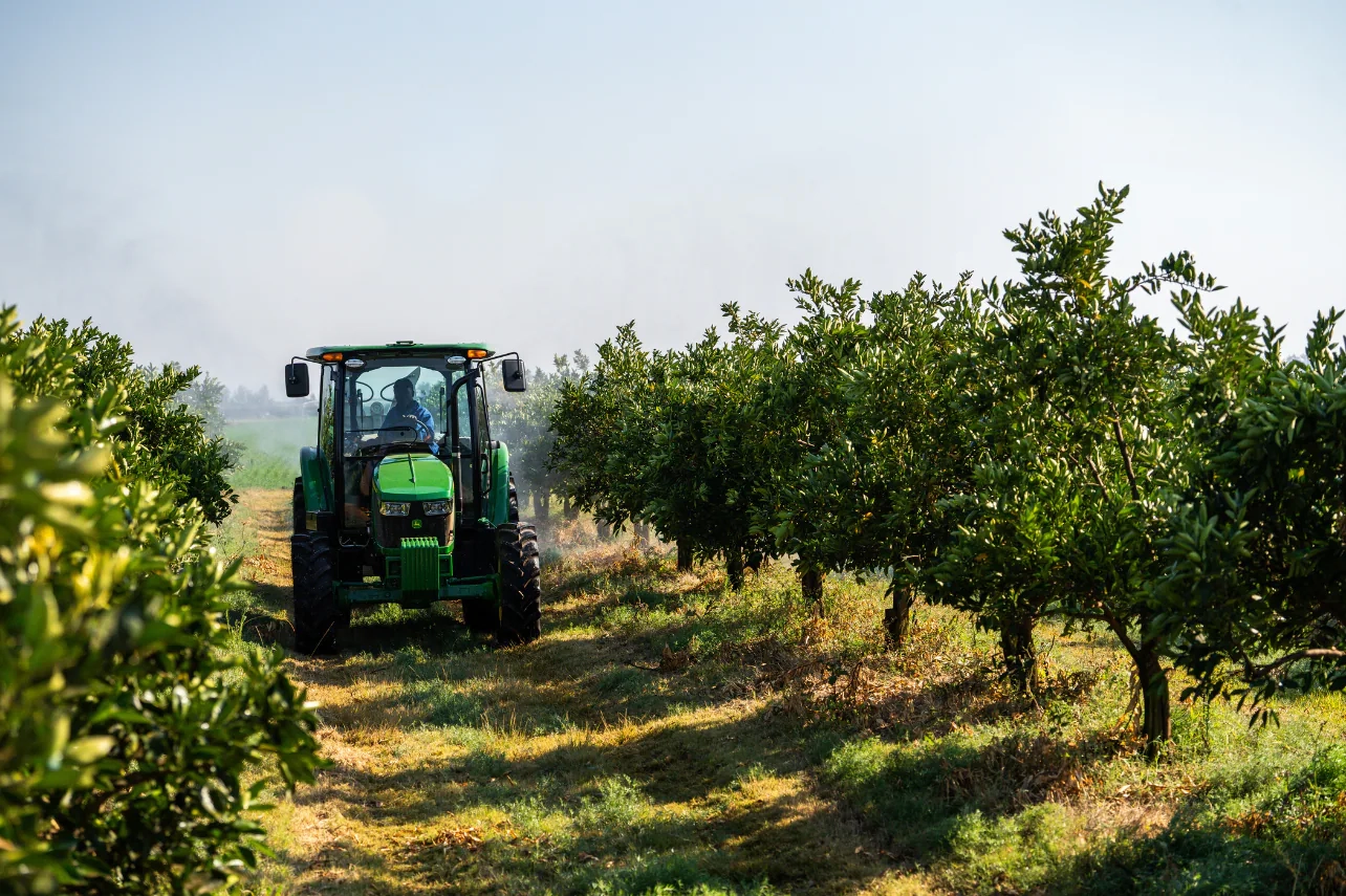 A John Deere 5EN Series narrow cab tractor driving down an orchard row.