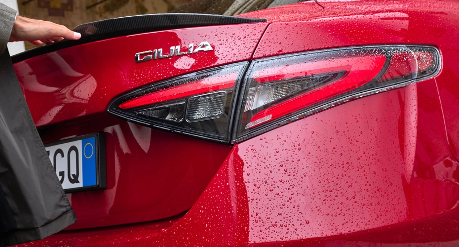 REAR LIGHTS