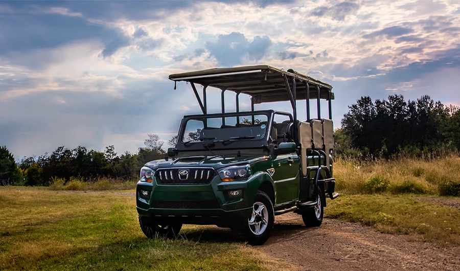 Roll-Over Compliant Roll Cage
