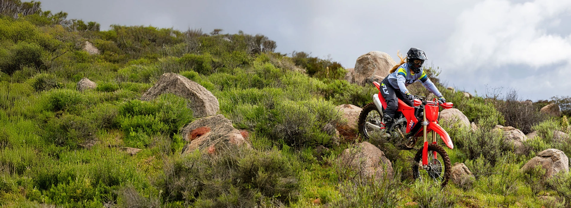 CRF250RX
