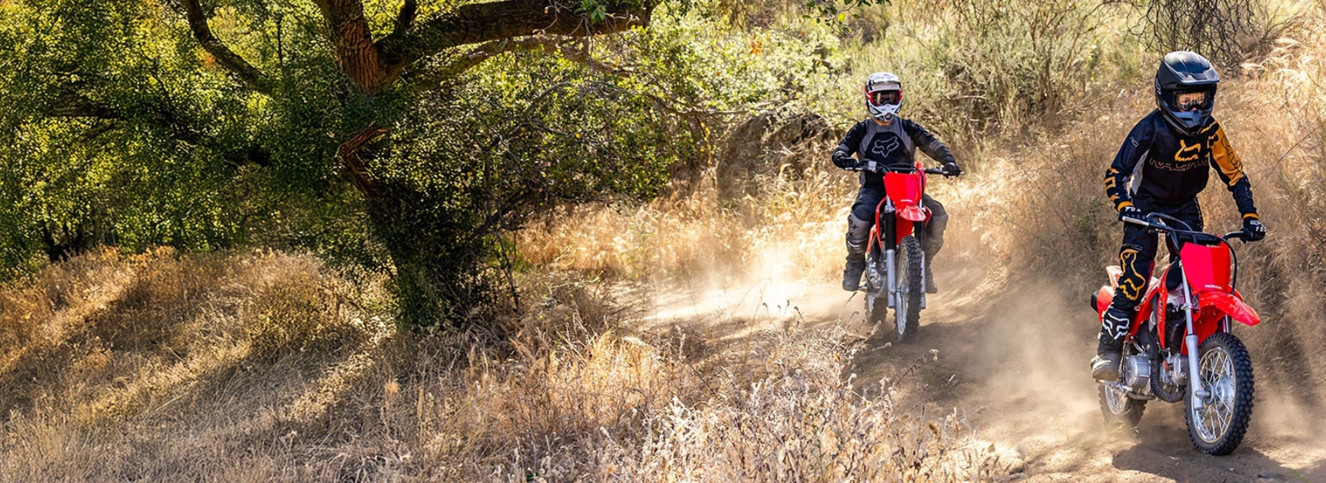 CRF110F