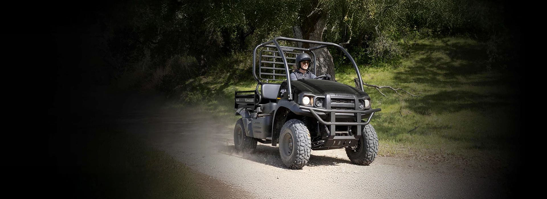 Mule SX 4X4