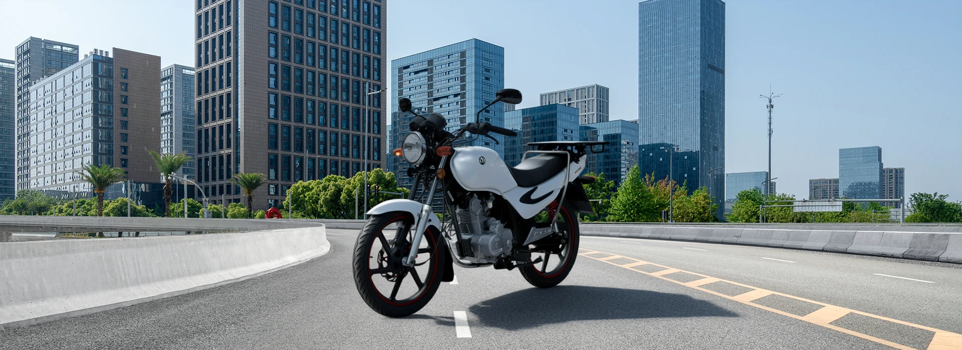 XS 125-K - DELIVERY BIKE