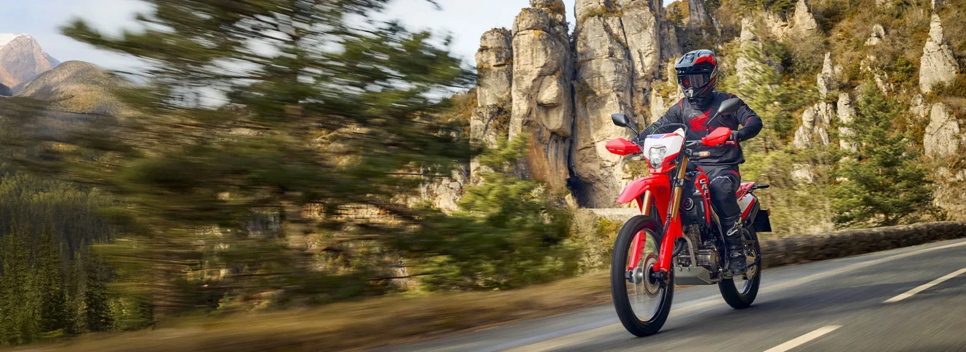 CRF300L