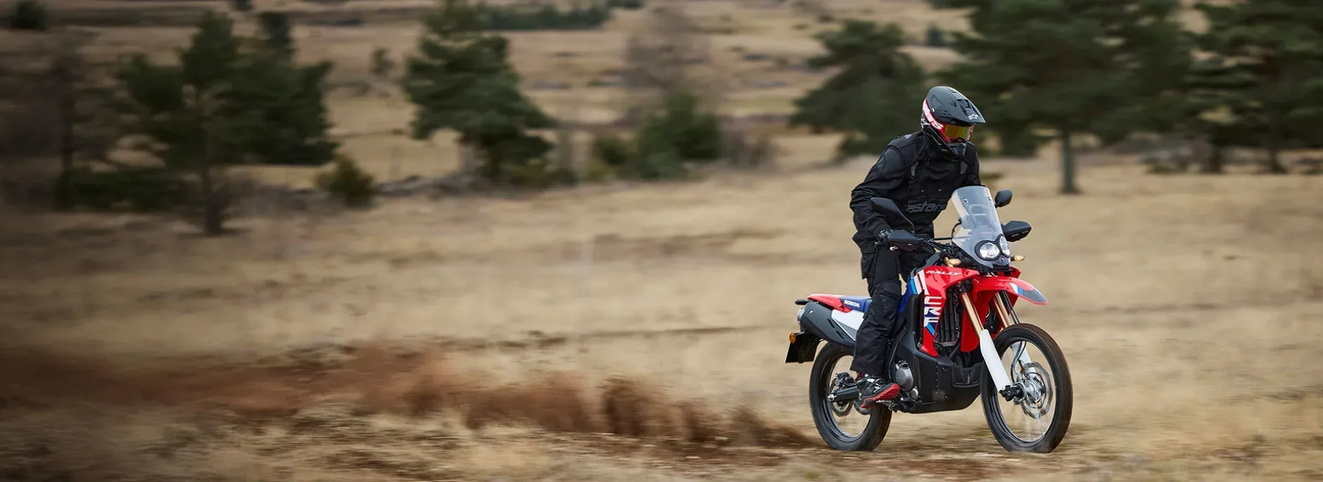 CRF300R Rally