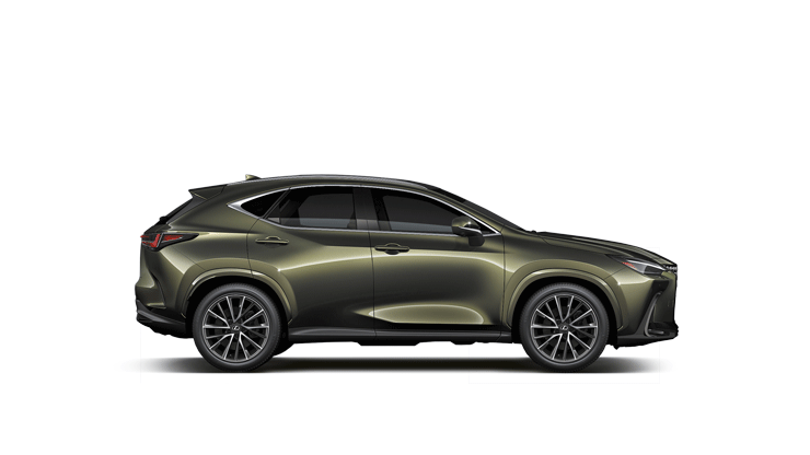 NX 350 F Sport