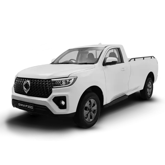 P300 2.0T single cab SX 4x4