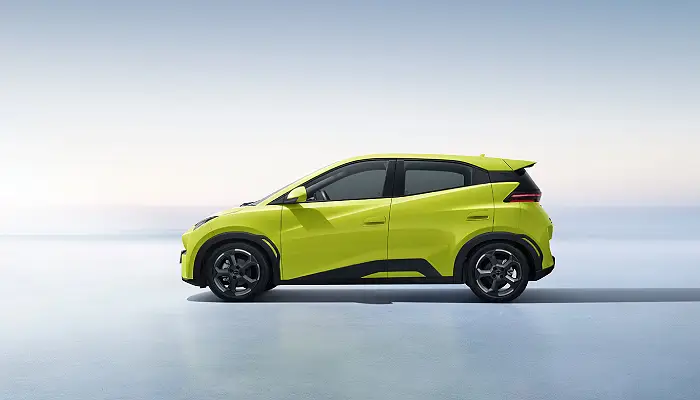 Dolphin Surf Comfort EV