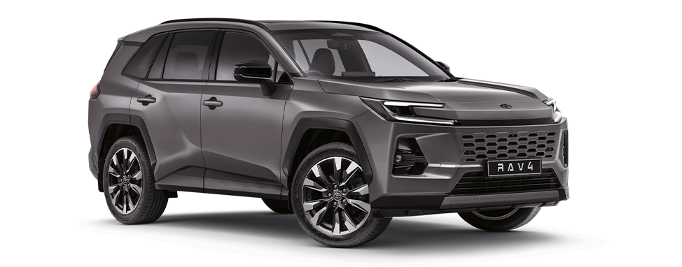 RAV4 2.0 VX