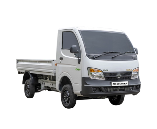 Ace Gold CNG +