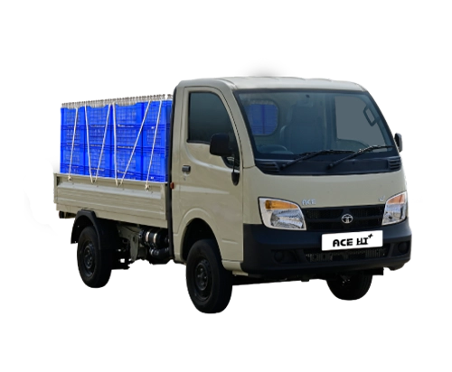 Ace HT +