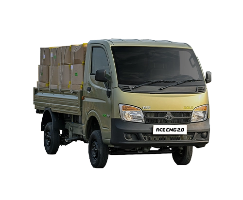 Ace Gold CNG 2.0
